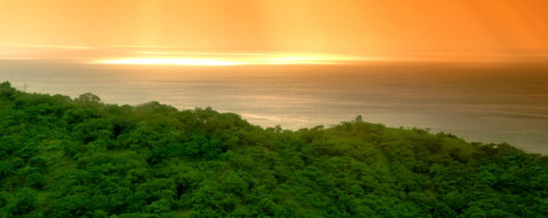 Best Time To Travel To Costa Rica Le Cameleon Boutique Hotel